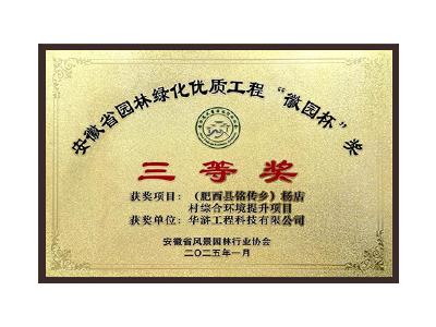白银荣获2025“徽园杯”奖三等奖